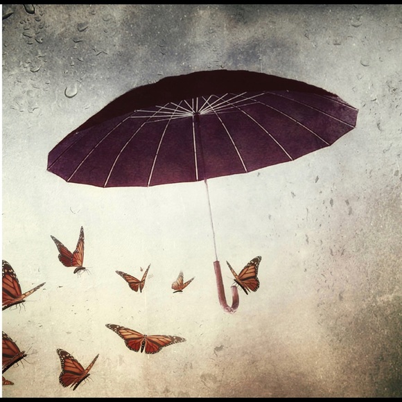 Meet your Posher, Kitka - Picture 8 of 9